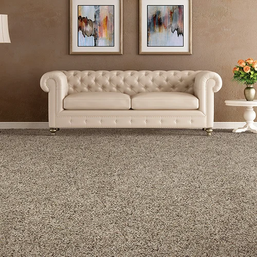 Bridgeport Carpet, Hardwood & Tile providing stain-resistant pet proof carpet in Alpharetta, GA