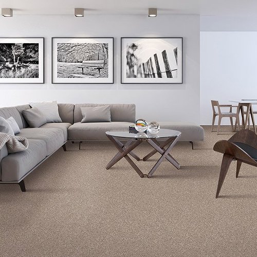 Quality carpet in Atlanta, GA from Bridgeport Carpets