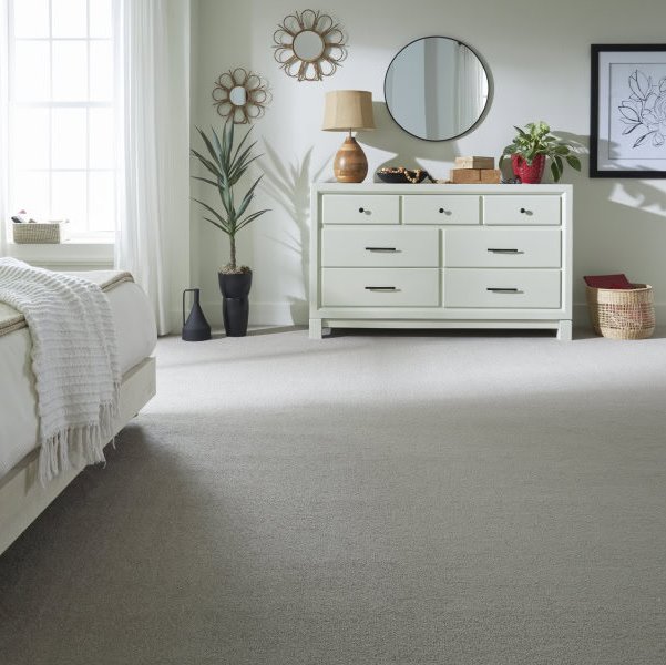 Best Carpet Colors for Room Ambiance