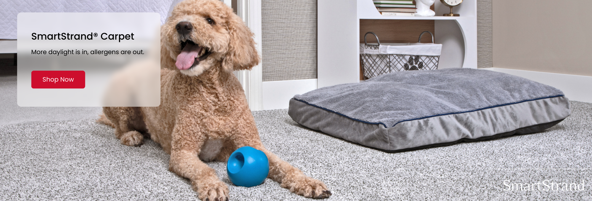 Shop Mohawk SmartStrand Flooring Products