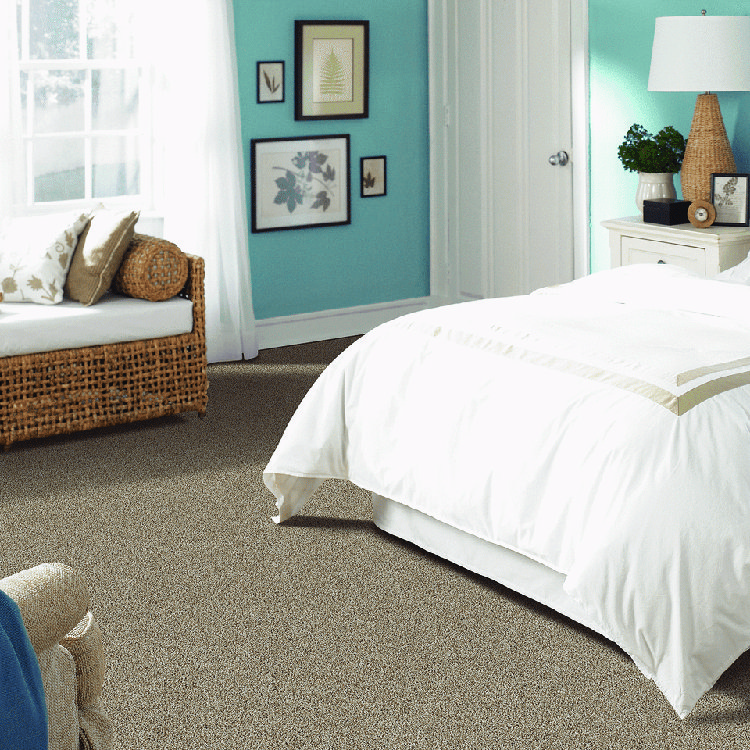 Cozy bedroom with carpet flooring