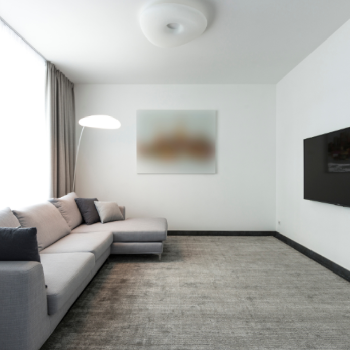 Living room with beige carpet flooring